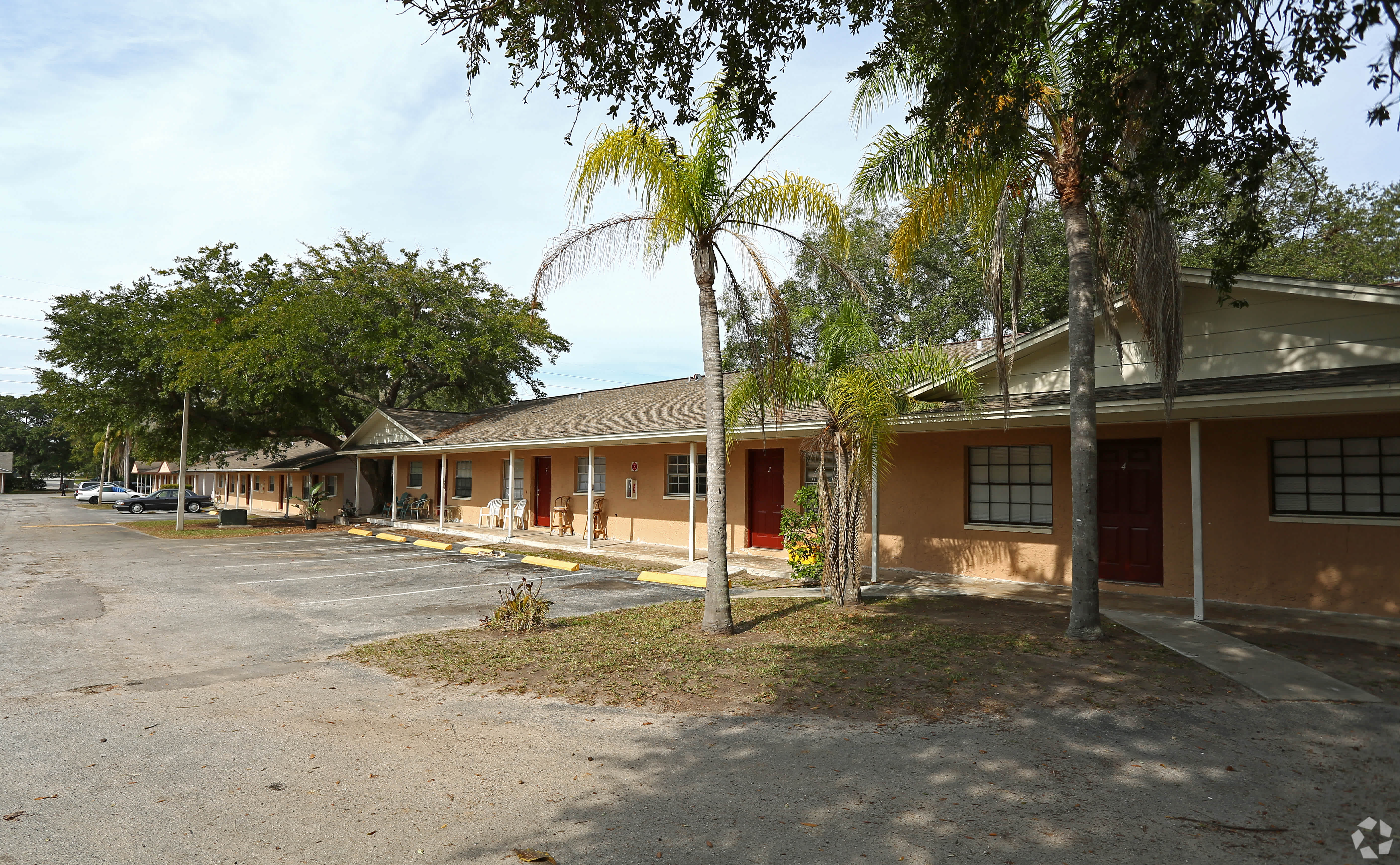 A row of mature palm trees lining the single-story buildings at The Oasis