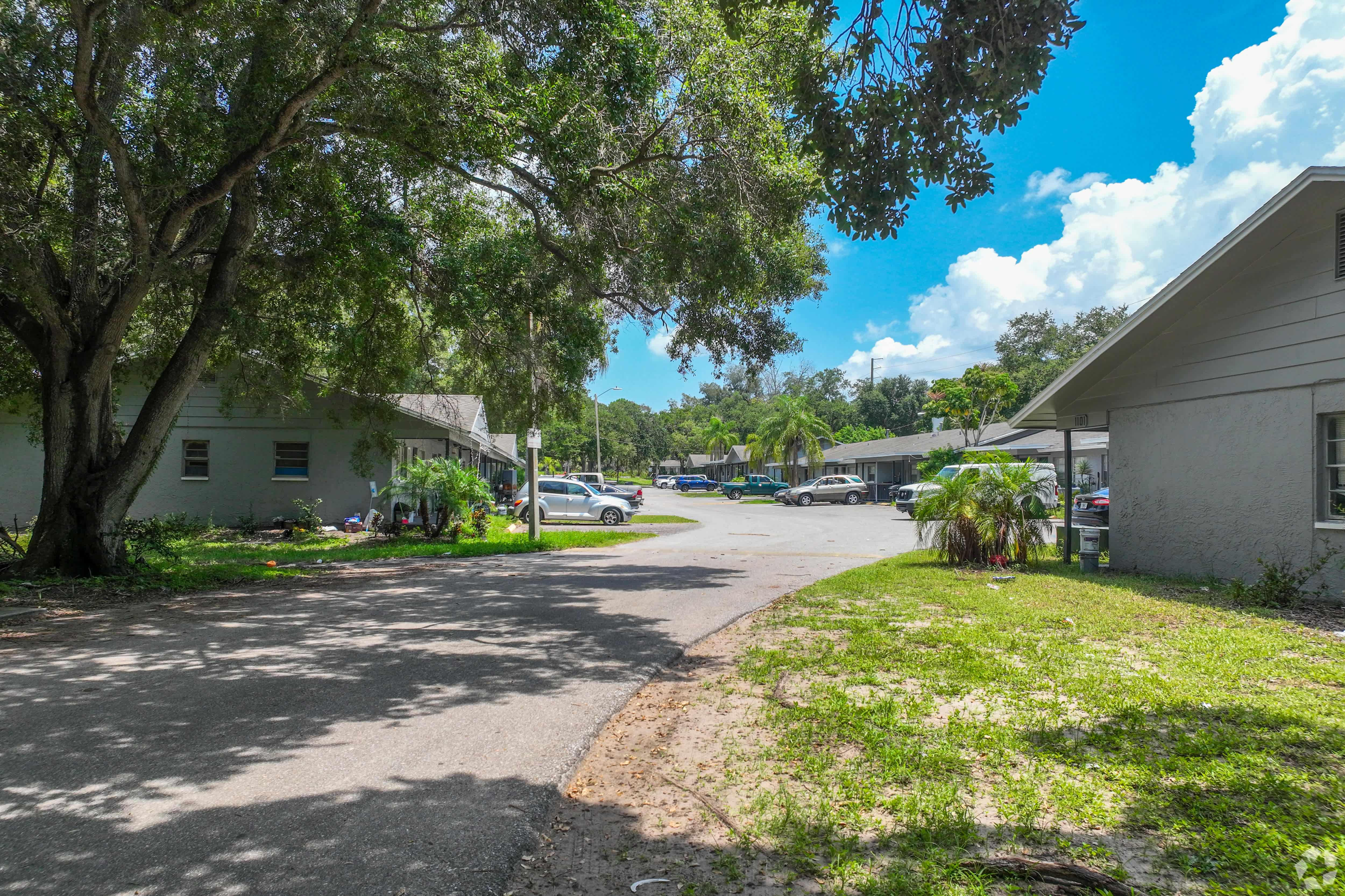 A quiet walking path under mature live oaks at The Oasis